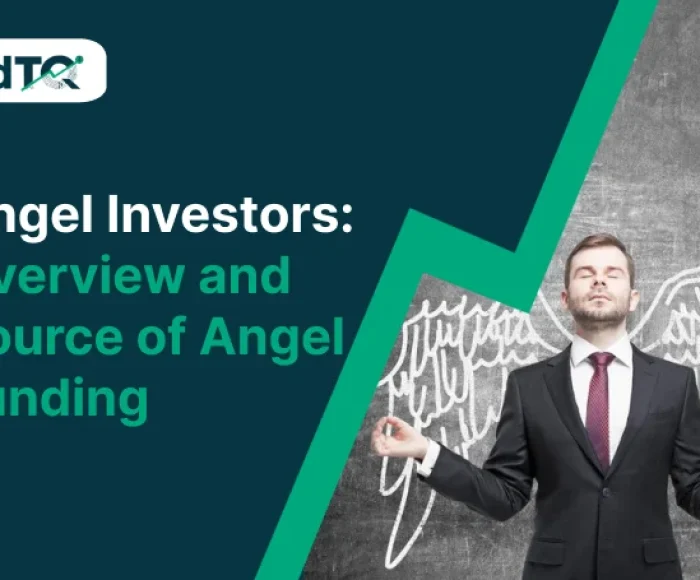 angel investors overview and source of angel funding