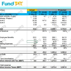 financial model for fintech slide-1