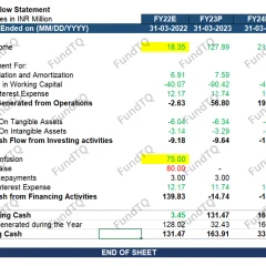 financial model for kids brand slide-2