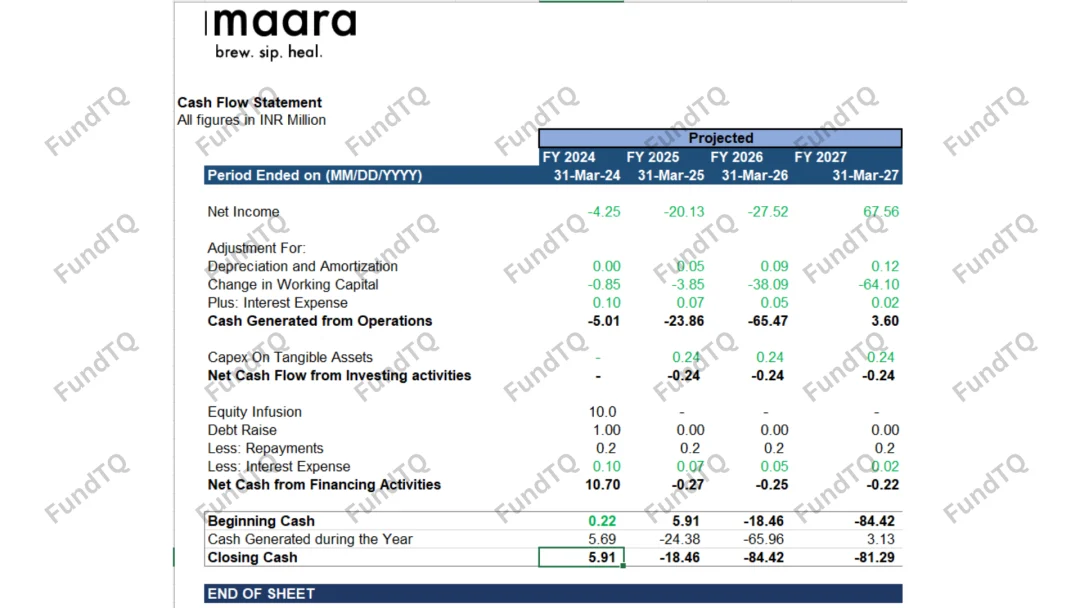 financial model of fmcg brand slide-1