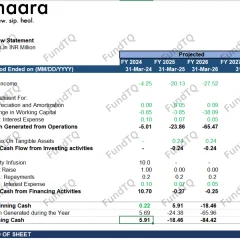 financial model of fmcg brand slide-1