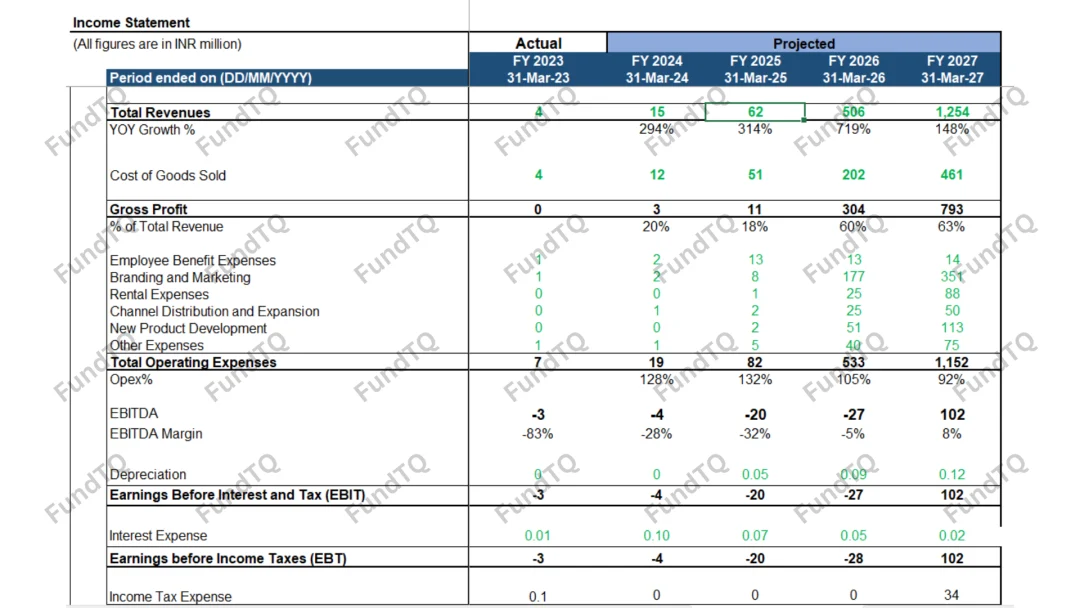 financial model of fmcg brand slide-1