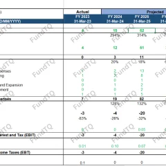 financial model of fmcg brand slide-1