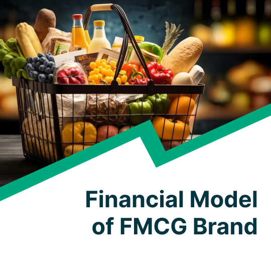 financial model of fmcg brand