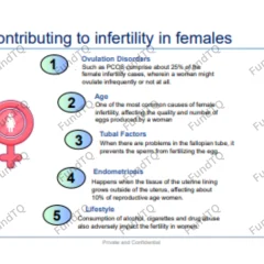 ivf industry report slide-2