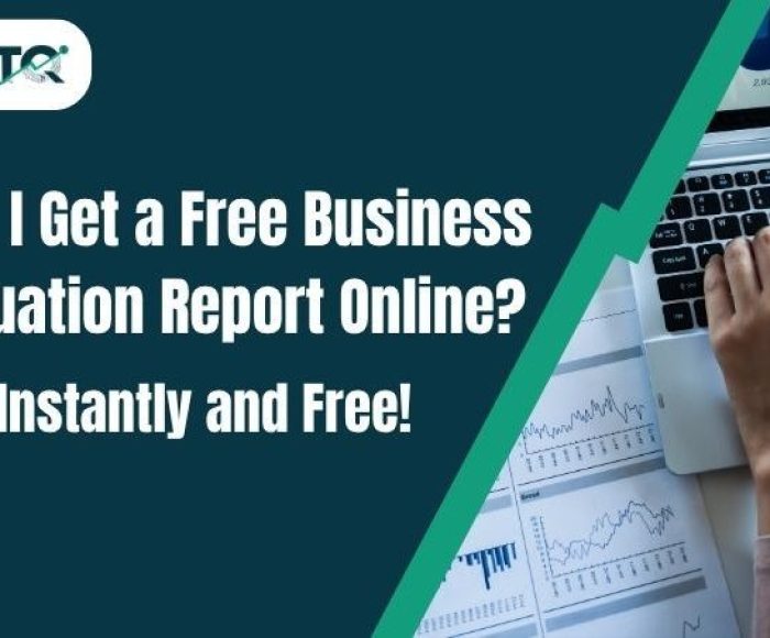 business valuation report online