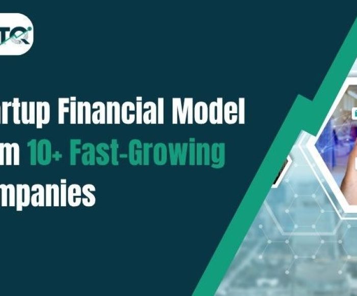 Startup Financial model